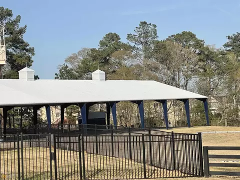 30 Goshawk Walk, Covington, GA 30014 photo 35