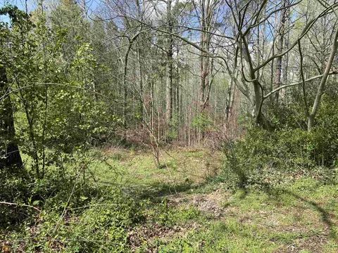 5010 Bee Tree Rd, Acworth, GA 30102 photo 5