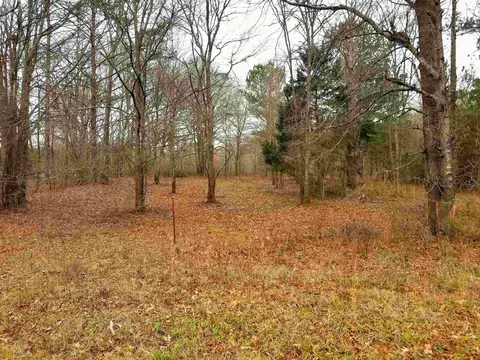 3205 Dally Rd, Covington, GA 30014 photo 2
