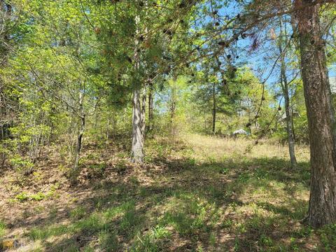 296 Golf Ridge Way, Toccoa, GA 30577 photo 1