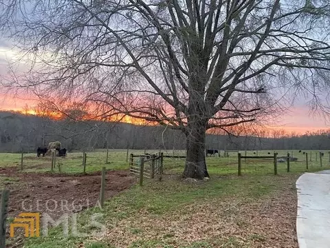 815 Hunter Rd, Williamson, GA 30292 photo 5