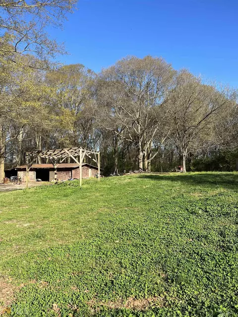 2271 Roach Rd, Royston, GA 30662 photo 14