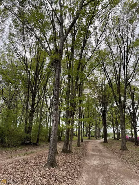 98 Jonathans Roost Rd, Williamson, GA 30292 photo 4