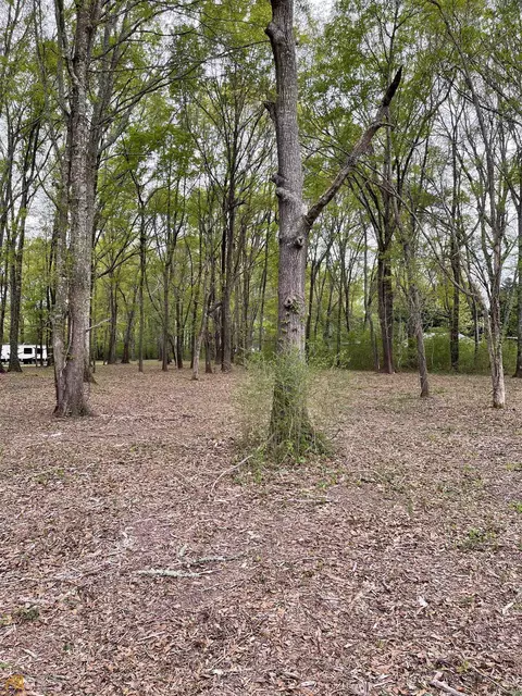 98 Jonathans Roost Rd, Williamson, GA 30292 photo 5