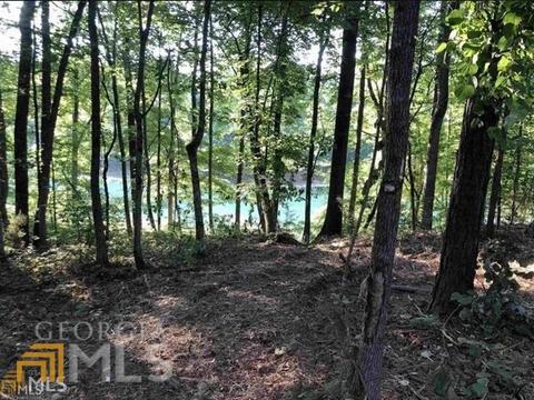 103 Forest Overlook Dr, Forsyth, GA 31029 photo 2