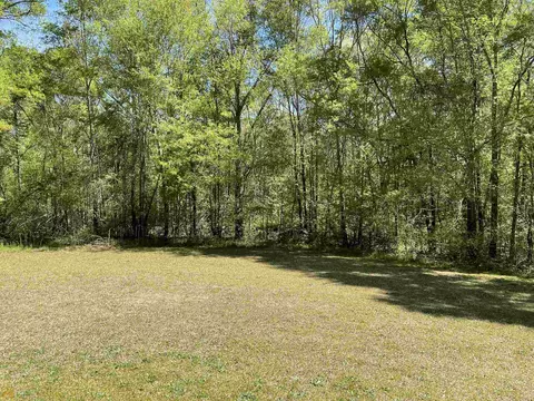 192 Deer Meadows Estates Rd, Carnesville, GA 30521 photo 2