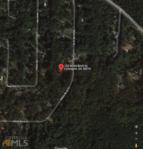 130 White Birch Dr, Covington, GA 30016 photo 2