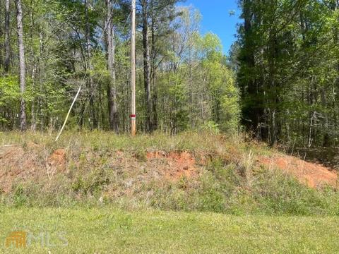 Undisclosed, Jackson, GA 30233 photo 13