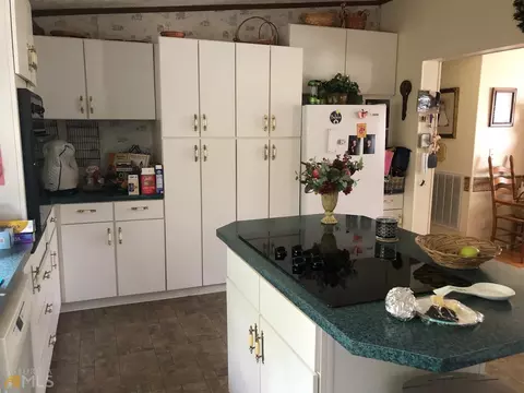 115 Gose Rd, Forsyth, GA 31029 photo 7