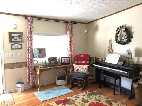 115 Gose Rd, Forsyth, GA 31029 photo 5