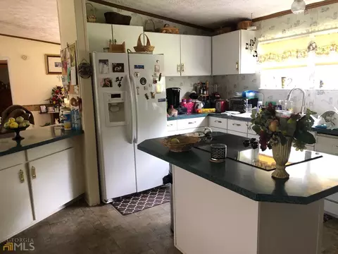 115 Gose Rd, Forsyth, GA 31029 photo 8