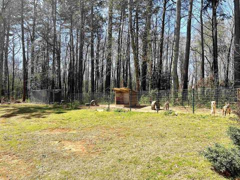 236 Chase Cir, Cornelia, GA 30531 photo 26
