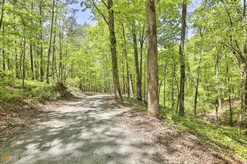 111 Fields Rd, Newnan, GA 30263 photo 62