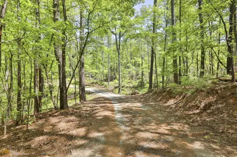 111 Fields Rd, Newnan, GA 30263 photo 60