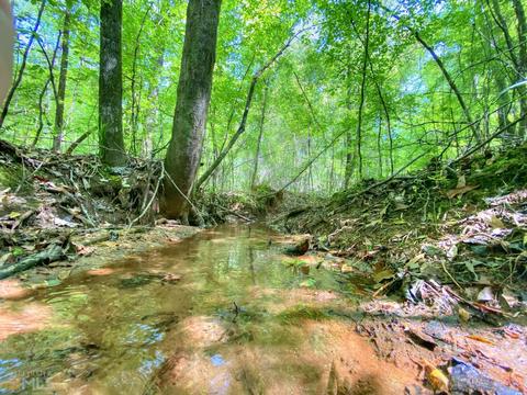 5211 Whitesville Rd, Lagrange, GA 30240 photo 15