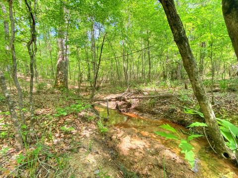 5211 Whitesville Rd, Lagrange, GA 30240 photo 16