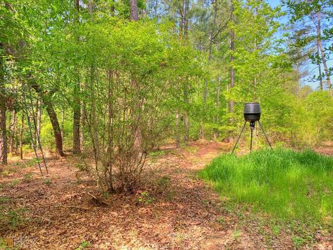 5211 Whitesville Rd, Lagrange, GA 30240 photo 13