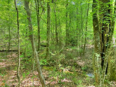 5211 Whitesville Rd, Lagrange, GA 30240 photo 17