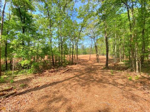 5211 Whitesville Rd, Lagrange, GA 30240 photo 9