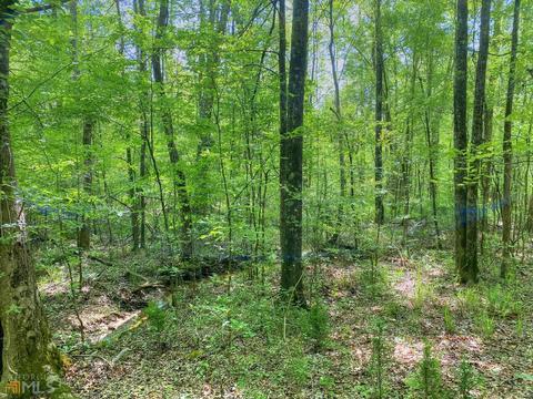 5211 Whitesville Rd, Lagrange, GA 30240 photo 18