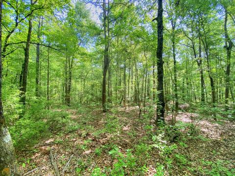 5211 Whitesville Rd, Lagrange, GA 30240 photo 19