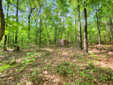 5211 Whitesville Rd, Lagrange, GA 30240 photo 12