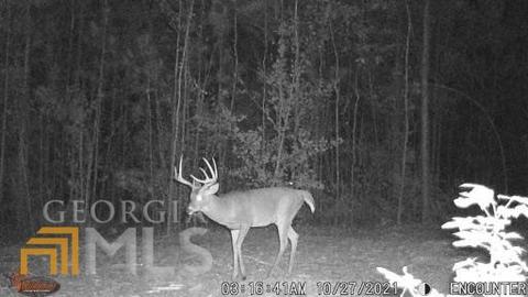 267 Bowen Hill Rd, Haddock, GA 31033 photo 3