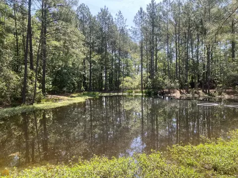 2125 Hendrix Rd, Brooklet, GA 30415 photo 11