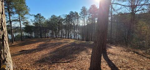 978 N Edgewater Trl, Toccoa, GA 30577 photo 6