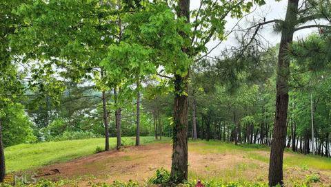 978 N Edgewater Trl, Toccoa, GA 30577 photo 1