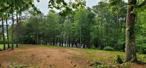 978 N Edgewater Trl, Toccoa, GA 30577 photo 2