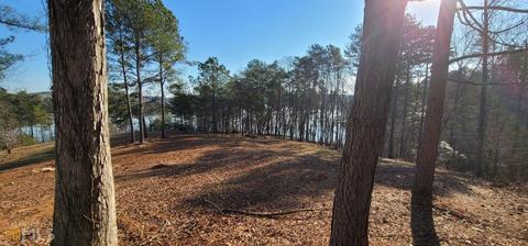 978 N Edgewater Trl, Toccoa, GA 30577 photo 5