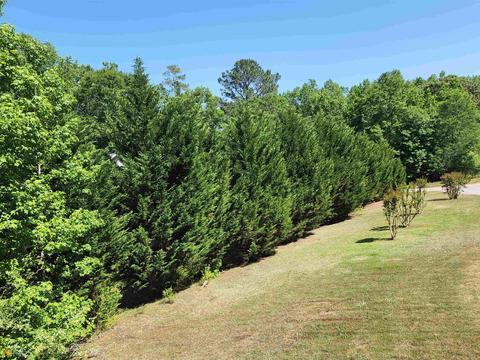 202 Clairmont Ct, Lagrange, GA 30240 photo 29