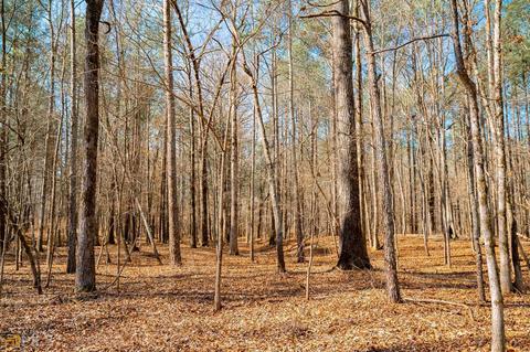 3491 Clack Rd, Madison, GA 30650 photo 35