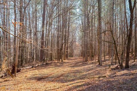 3491 Clack Rd, Madison, GA 30650 photo 36