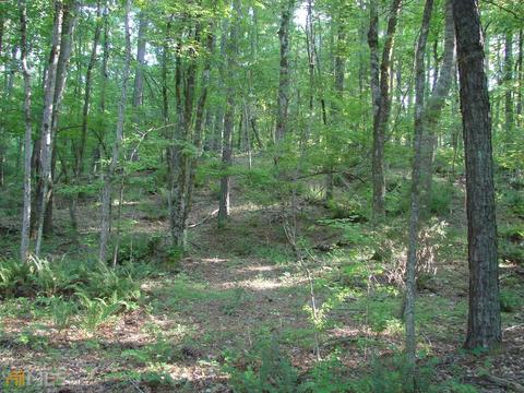 3510 Rock Mills Rd, Lagrange, GA 30240 photo 54