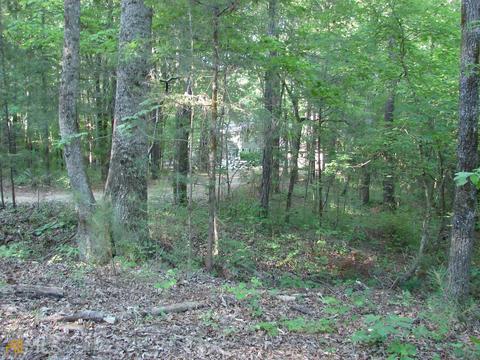 3510 Rock Mills Rd, Lagrange, GA 30240 photo 52
