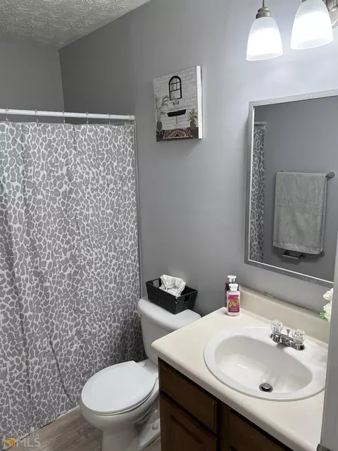 2047 Grove Way, Hampton, GA 30228 photo 16