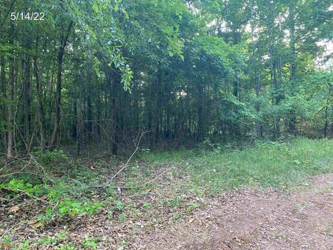 1401 Mission Rd, Madison, GA 30650 photo 1