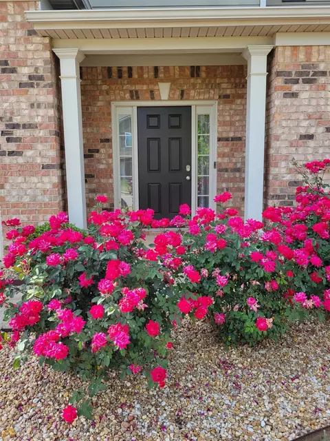 338 Linman Dr, Lagrange, GA 30241 photo 5