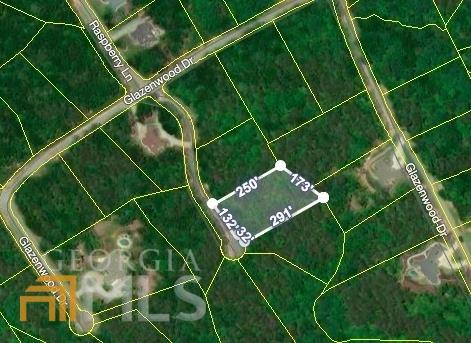 291 Raspberry Ln, Clarkesville, GA 30523 photo 3
