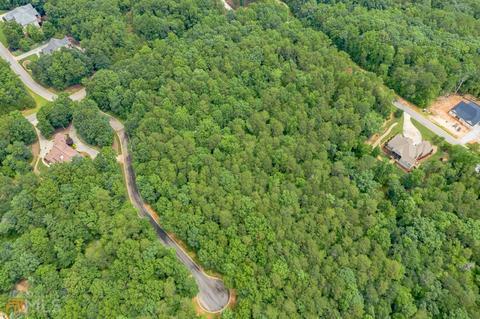291 Raspberry Ln, Clarkesville, GA 30523 photo 6