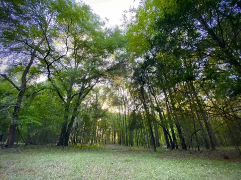 1380 Diamond Hill Colbert Rd, Colbert, GA 30628 photo 18