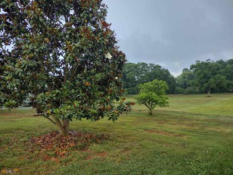 152 Middle Fork Ln, Carnesville, GA 30521 photo 12