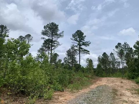 59 9522 Ac Salem Chipley Rd, Pine Mountain, GA 31822