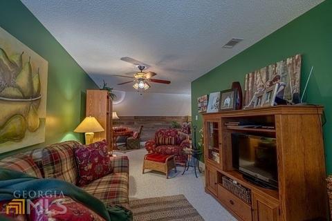 106 Dixie Dr, Springfield, GA 31329 photo 59