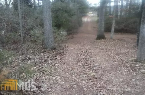349 Spring Rd, Covington, GA 30016 photo 18