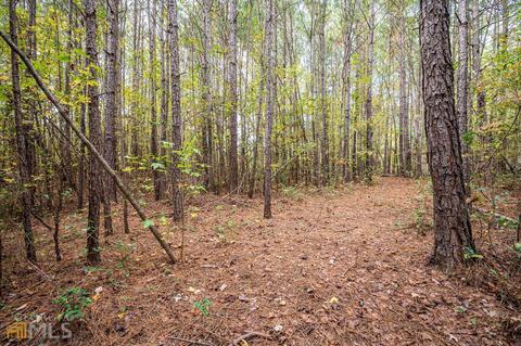 90 White Birch Dr, Covington, GA 30016 photo 8