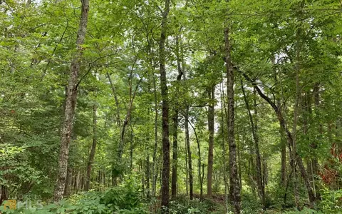 lot59 Bear Cv, Hayesville, NC 28904