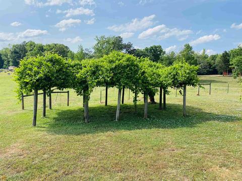 15 Dot Rd, Bowdon, GA 30108 photo 27